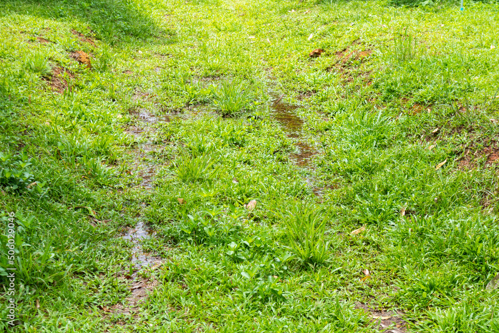 outdoor green road dirt path on country side Thailand outdoor green road dirt path on country side Thailand