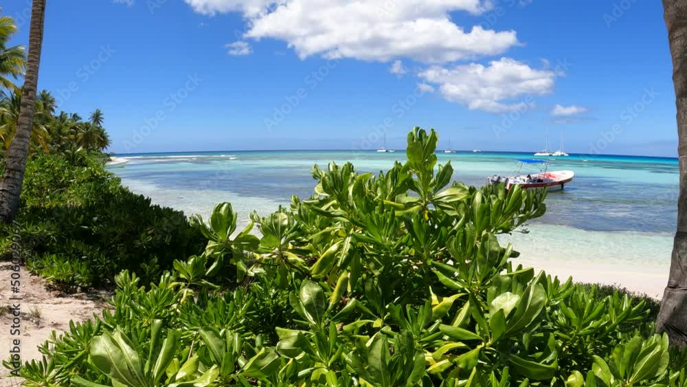 3x1 Video, Wild beach full of boats, Saona Island, Dominican Republic, March 2022 .4K Video
3x1 Video, Wild beach full of boats, Saona Island, Dominican Republic, March 2022 .4K Video