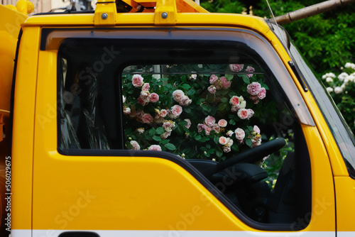 クルマの窓から見えるバラ