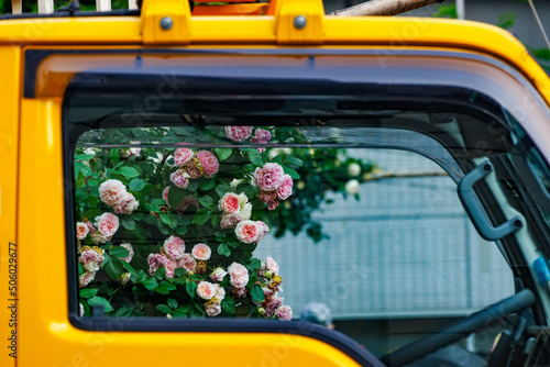 クルマの窓から見えるバラ