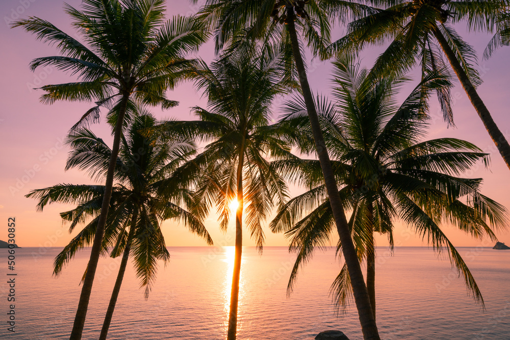 Silhouette coconut palm trees at sunset or sunrise sky over sea Amazing light nature colorful landscape Beautiful light nature sky and clouds