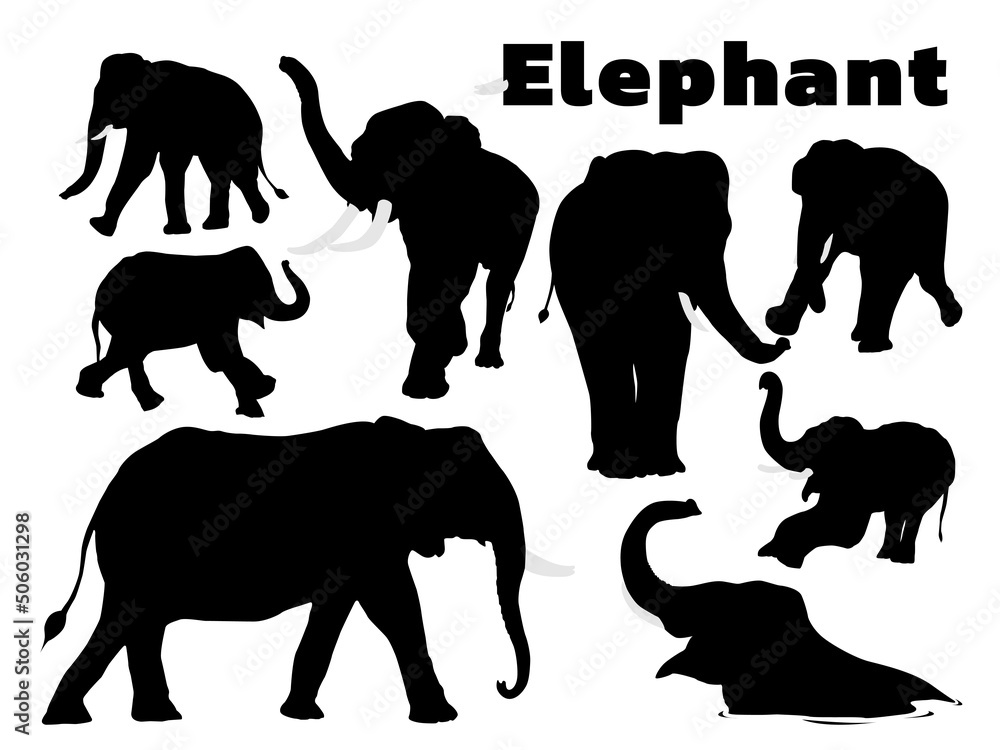 Naklejka premium Elephant Silhouette. Elephant Silhouette Collection Stock Illustration. Black Elephant Silhouette Isolated On White Background.