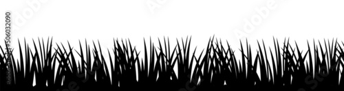 Grass. Nature rural landscape. The pasture is overgrown. Overgrown dense lawn. Isolated on white background. Horizontal seamless illustration. Silhouette picture. Vector