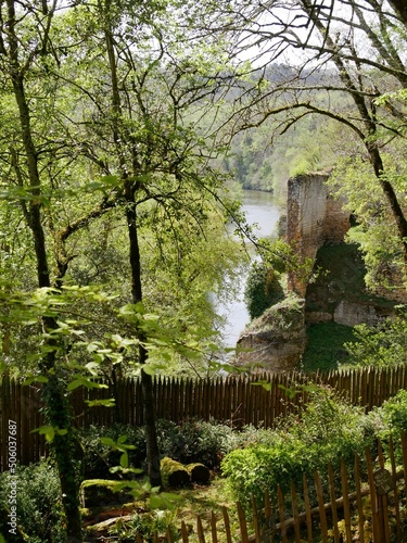 La rivière Vézère à Tursac en Dordogne dans le Périgord Noir. France photo
