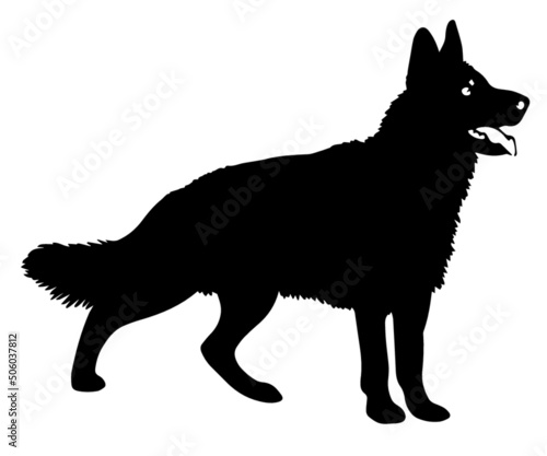vector black Sheepdog illustration