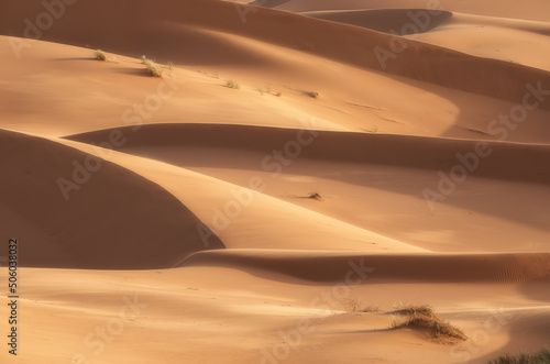 sand dunes in the desert Sahara