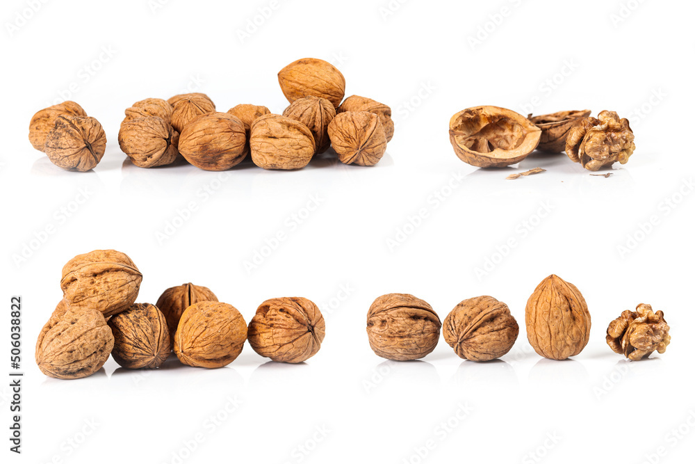 composite of walnut isolated on white background composite of walnut isolated on white background