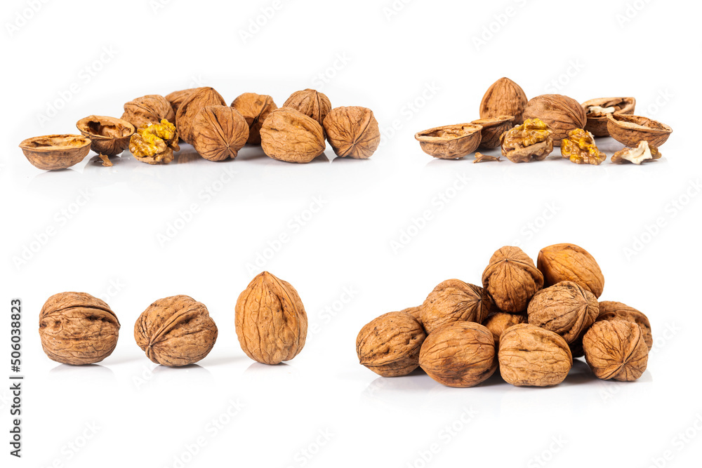 composite of walnut isolated on white background composite of walnut isolated on white background