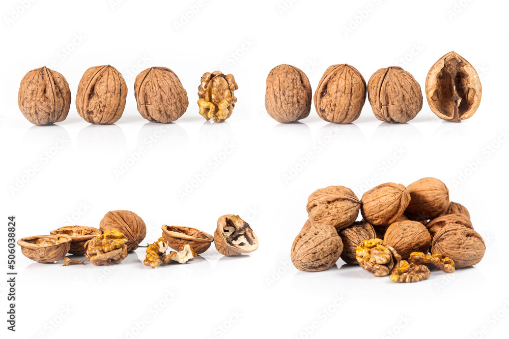 composite of walnut isolated on white background composite of walnut isolated on white background