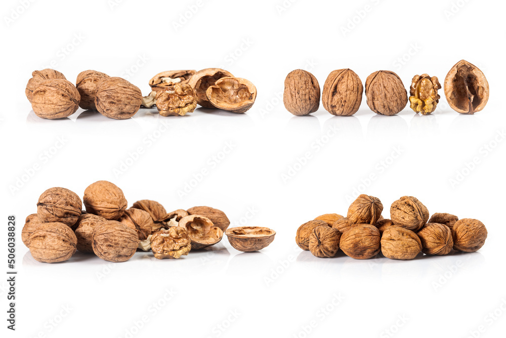 composite of walnut isolated on white background composite of walnut isolated on white background
