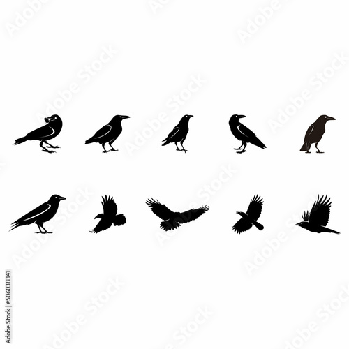 Set of ravens crow bird silhouettes Vector illustration of ravens 