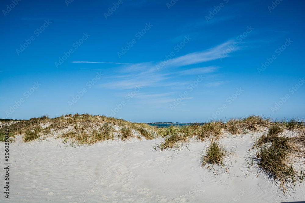 Dünen am Strand in Prerow, Fischland-Darß Dünen am Strand in Prerow, Fischland-Darß