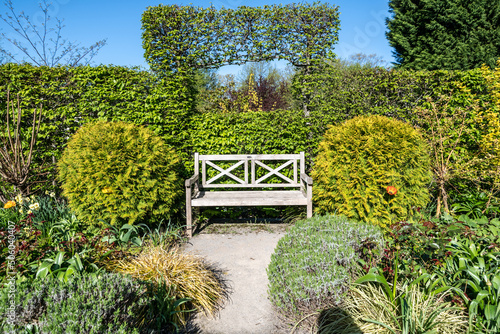 schöner Garten mit einer Holzbank photo