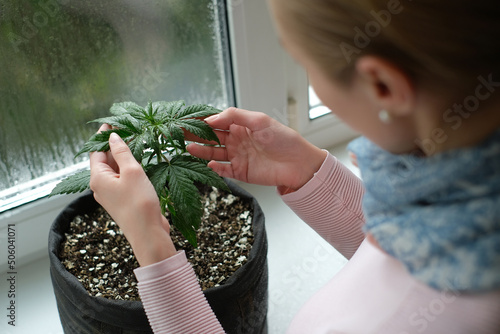 The girl is holding leaves of medical marijuana plant. Cannabis growing indoor