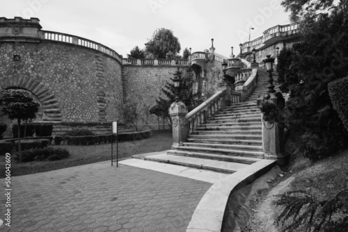 Tablou pe pânză rapa galbena, iasi