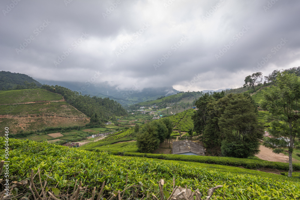 View of the tea estates located at Munnar