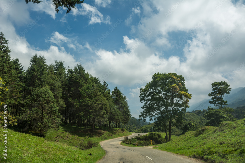 Pampadum Shola , Kerala, India - April 28, 2022: Forest views on the way from Munnar to Vattavada
