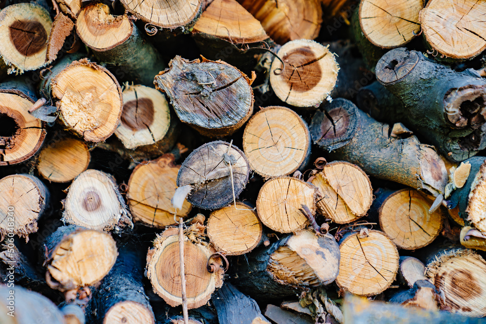 stacked firewood. firewood for kindling stoves, barbecue. harvesting firewood for the winter. cutting down old trees. fuel.