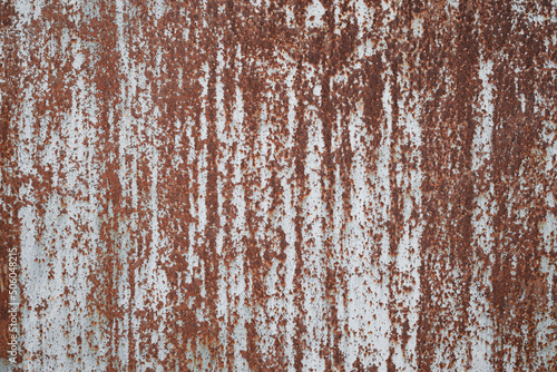old sheet of iron covered with rust with white colored paint . Rusty metal surface texture