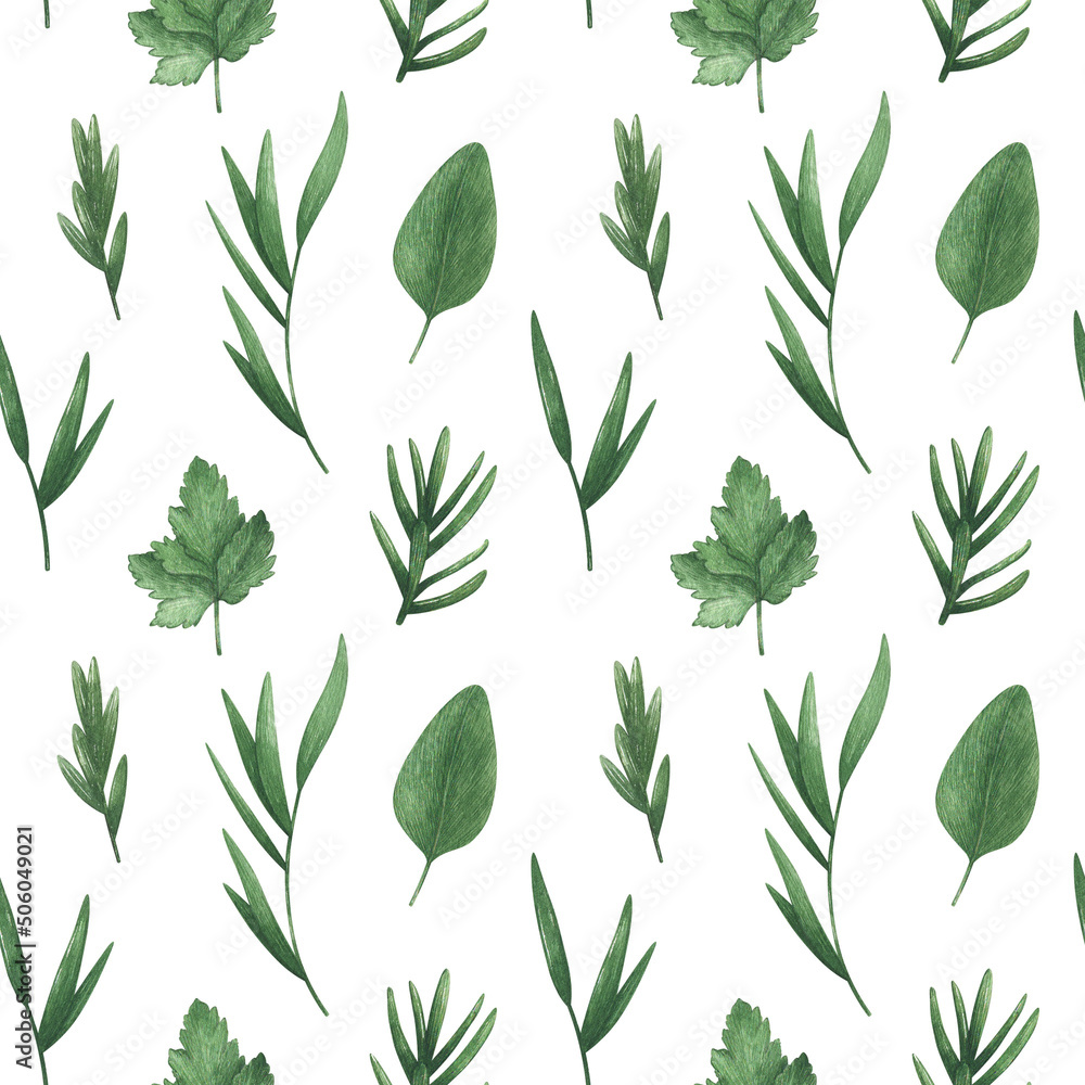 Fototapeta premium Botanical Seamless Pattern with Parsley, Basil, Willow, Lavender, Eucalyptus, Rosemary. Herbs and Spices on a white Background. Vintage Rural Style. 