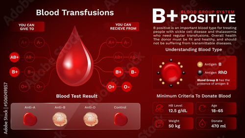 B Positive Blood group characteristics and Additional information vector image design
