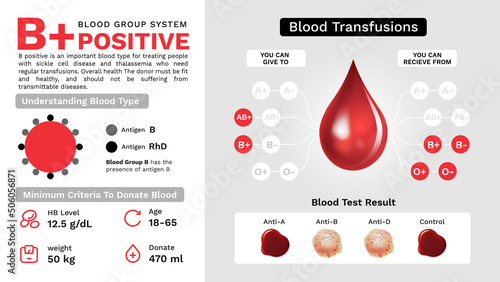 B Positive Blood group characteristics and Additional information vector image design