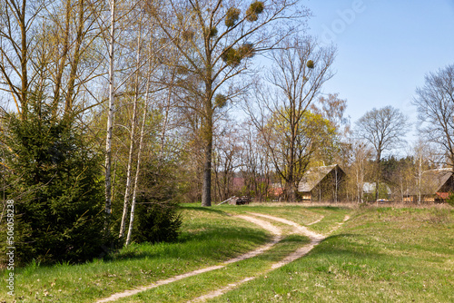 Uroki wiosennego krajobrazu Doliny Górnej Narwi, Podlasie, Polska