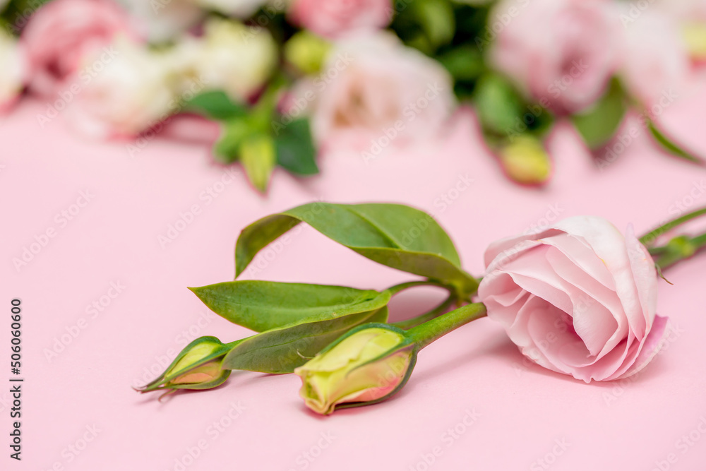Festive bouquet of flowers for the beloved on a pink background. The concept of love congratulations on the wedding, March 8, Valentine's Day, Christmas and birthday. Copy space. Festive bouquet of flowers for the beloved on a pink background. The concept of love congratulations on the wedding, March 8, Valentine's Day, Christmas and birthday. Copy space.