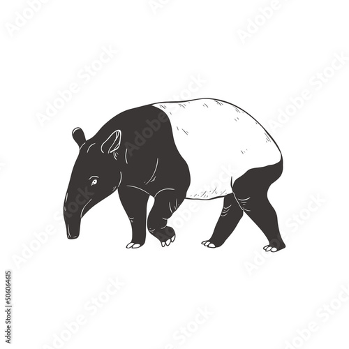 Tapir on white background. Vector .