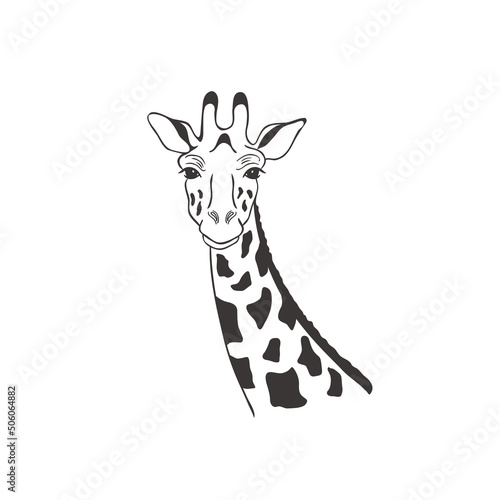 Giraffe on white background. Vector .