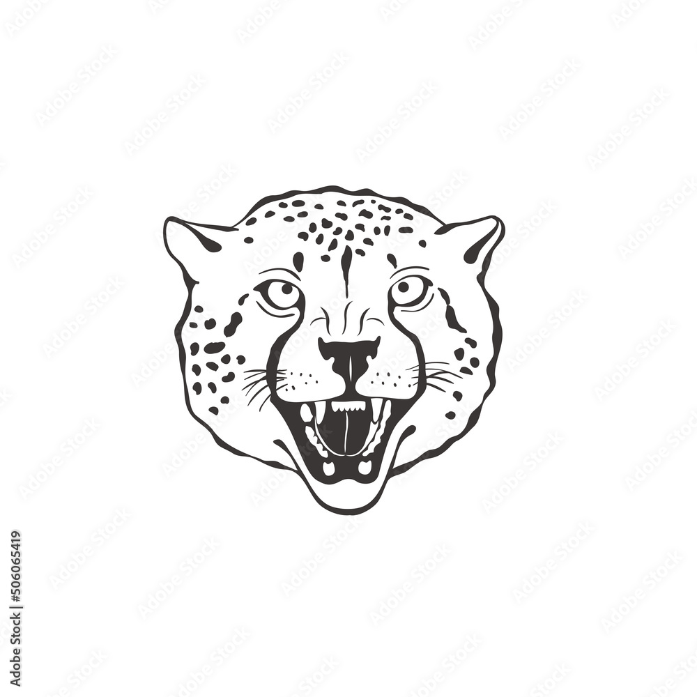 Cheetah on white background. Vector . Cheetah on white background. Vector .