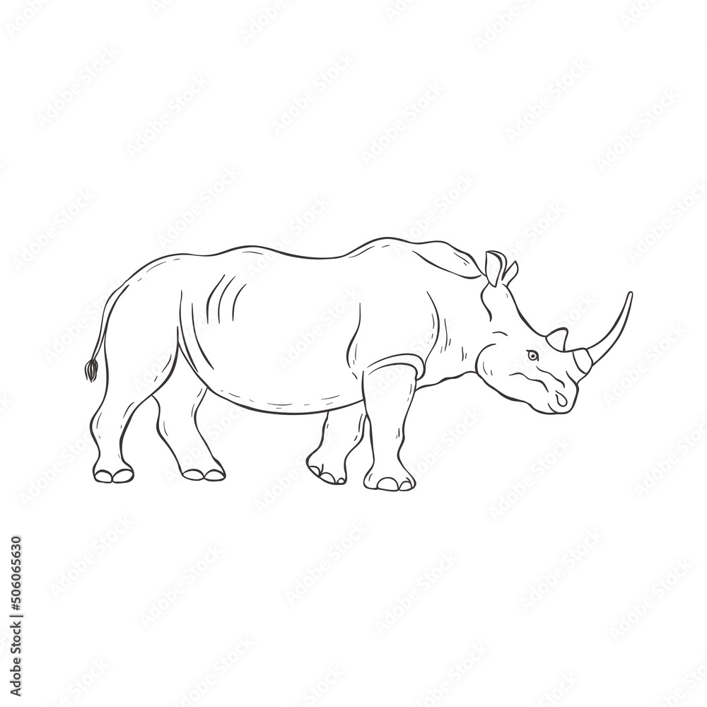 Rhinoceros on white background. Vector. Rhinoceros on white background. Vector.