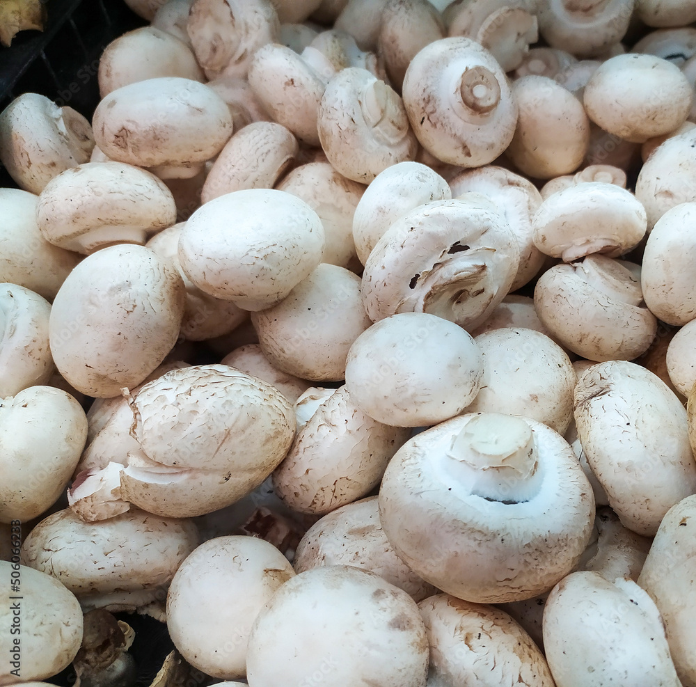 pile of fresh white mushrooms for sale in the traditional market