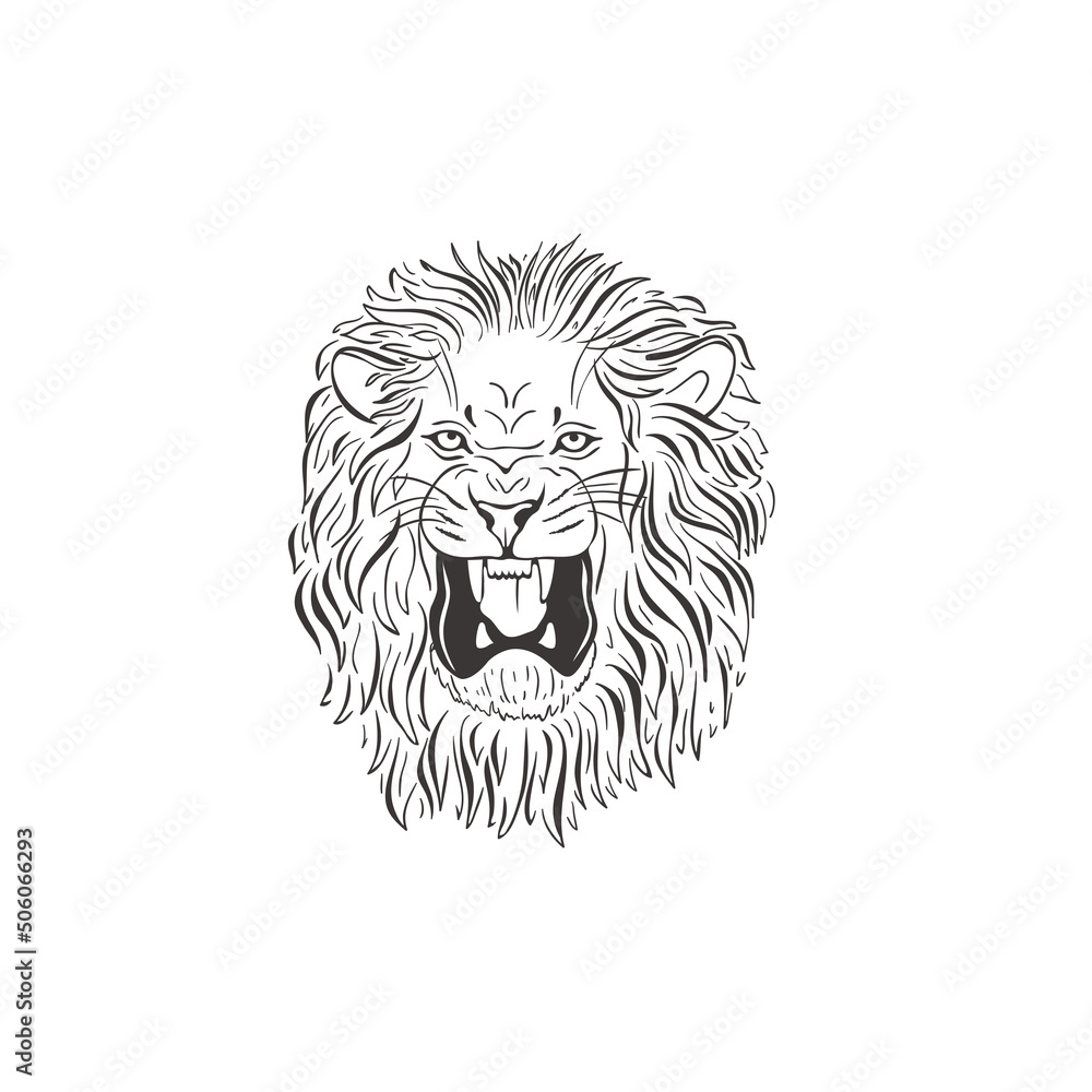 Lion on white background. Vector . Lion on white background. Vector .