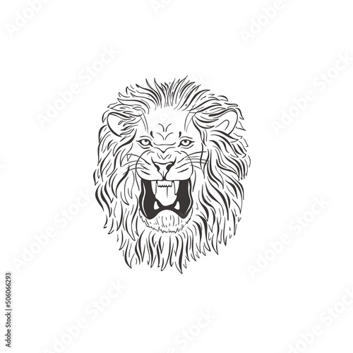 Lion on white background. Vector .