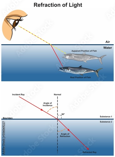 Refraction of light infographic diagram physics mechanics dynamics science education example how human eye see fish in water apparent real position cartoon vector drawing illustration chart 