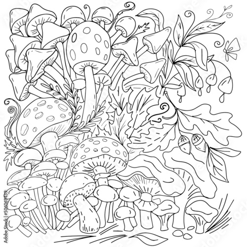 Mushrooms forest glade fly agaric mushrooms coloring book for children nature flowers sun and glade hand drawn spring summer illustration funny