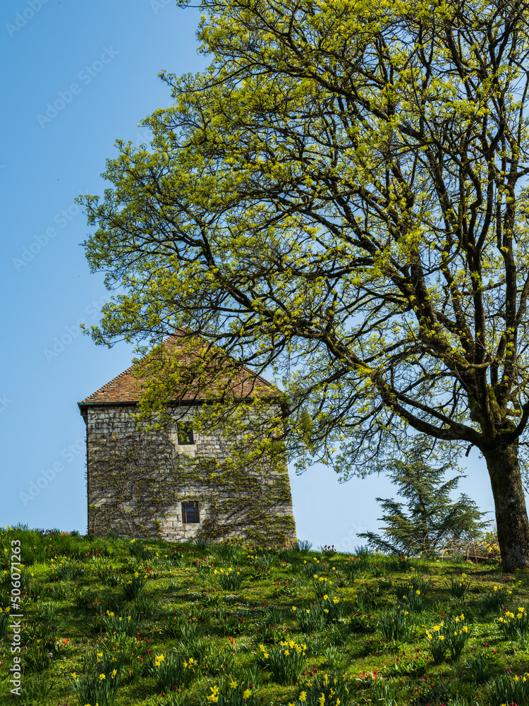 Historic building on top of the hill during spring flower season in Besancon France