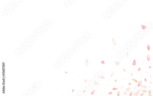 White Flower Petal Vector White Background. Color