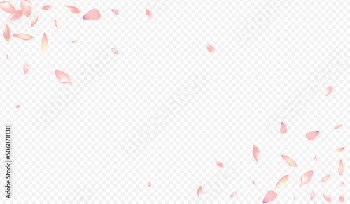 Color Flower Vector Transparent Background. Petal