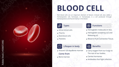 Structure, Function and Types of Blood Cell- Vector Image Design