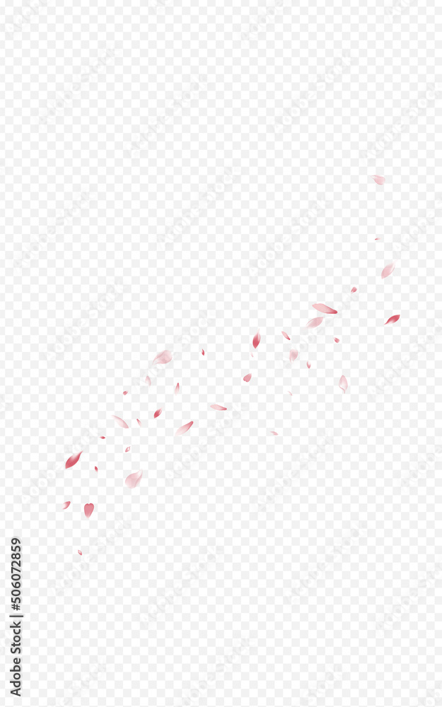 Pink Floral Falling Vector Transparent