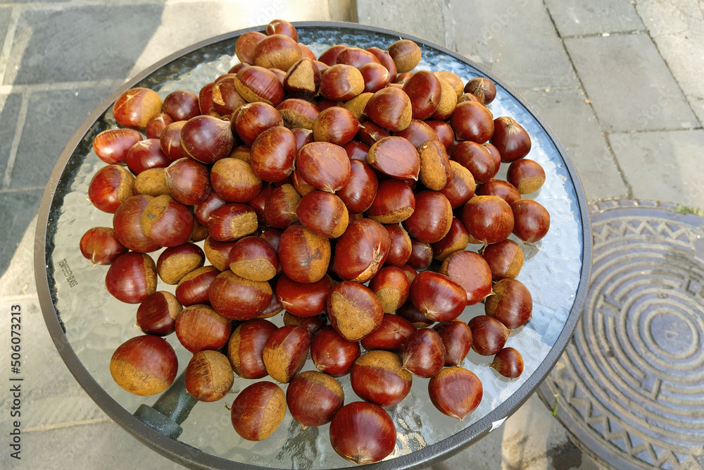 Obraz premium autumn chestnuts. raw chestnuts chestnuts on a glass table