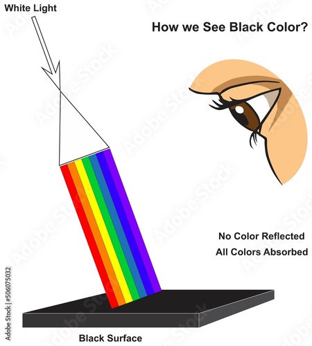 How human eye see black surface infographic diagram physics mechanics dynamics science education all white light colors absorption reflection cartoon vector drawing chart illustration scheme