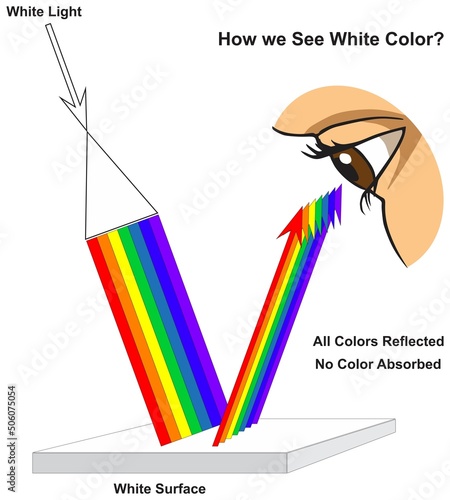 How human eye see white surface infographic diagram physics mechanics dynamics science education all white light colors absorption reflection cartoon vector drawing chart illustration scheme
