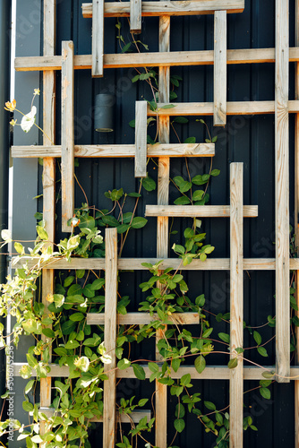 brown wooden background with foliage