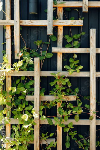brown wooden background with foliage