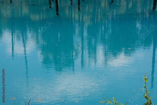 青空を映す初夏の青い池の湖面 美瑛町 