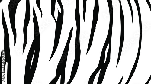 Tiger Motifs Pattern on Black-White. Animal Print Series. Vector Illustration