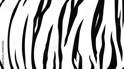 Tiger Motifs Pattern on Black-White. Animal Print Series. Vector Illustration